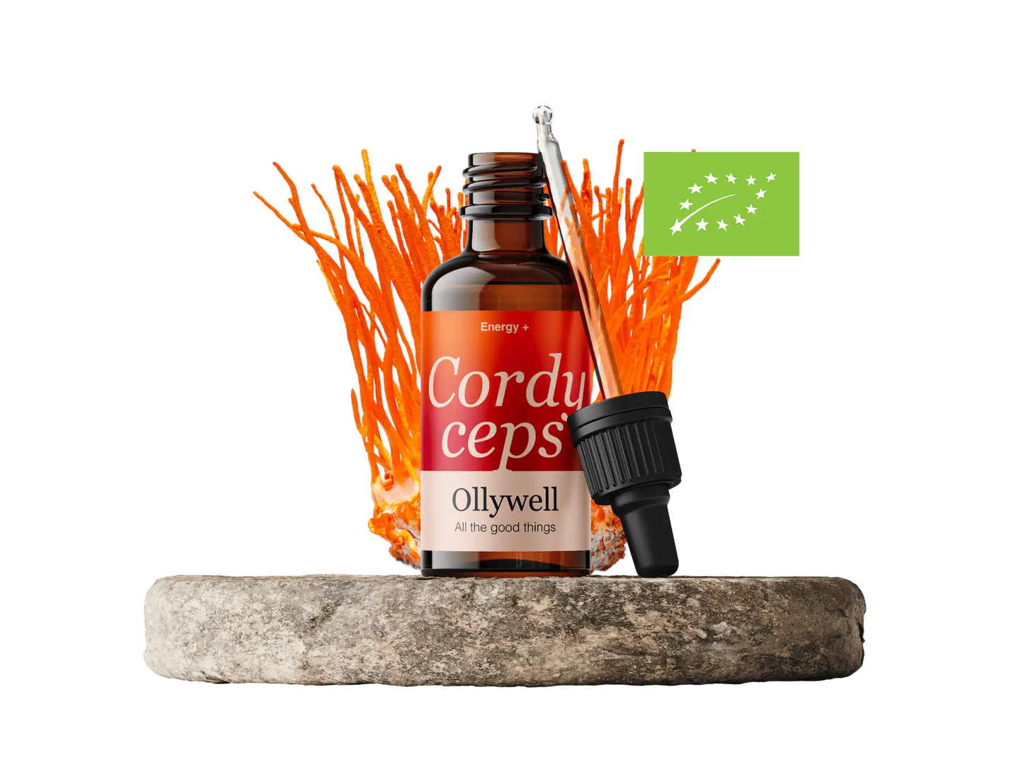 BIO Cordyceps : Énergie+