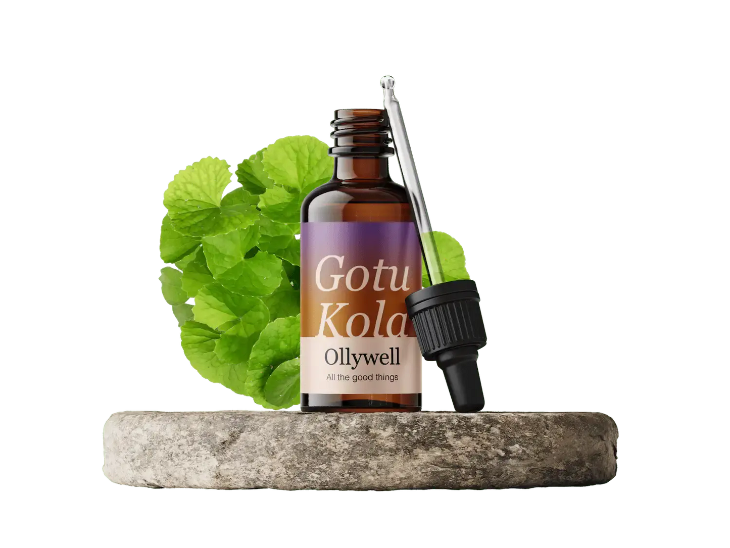 Gotu Kola : Renouveau+