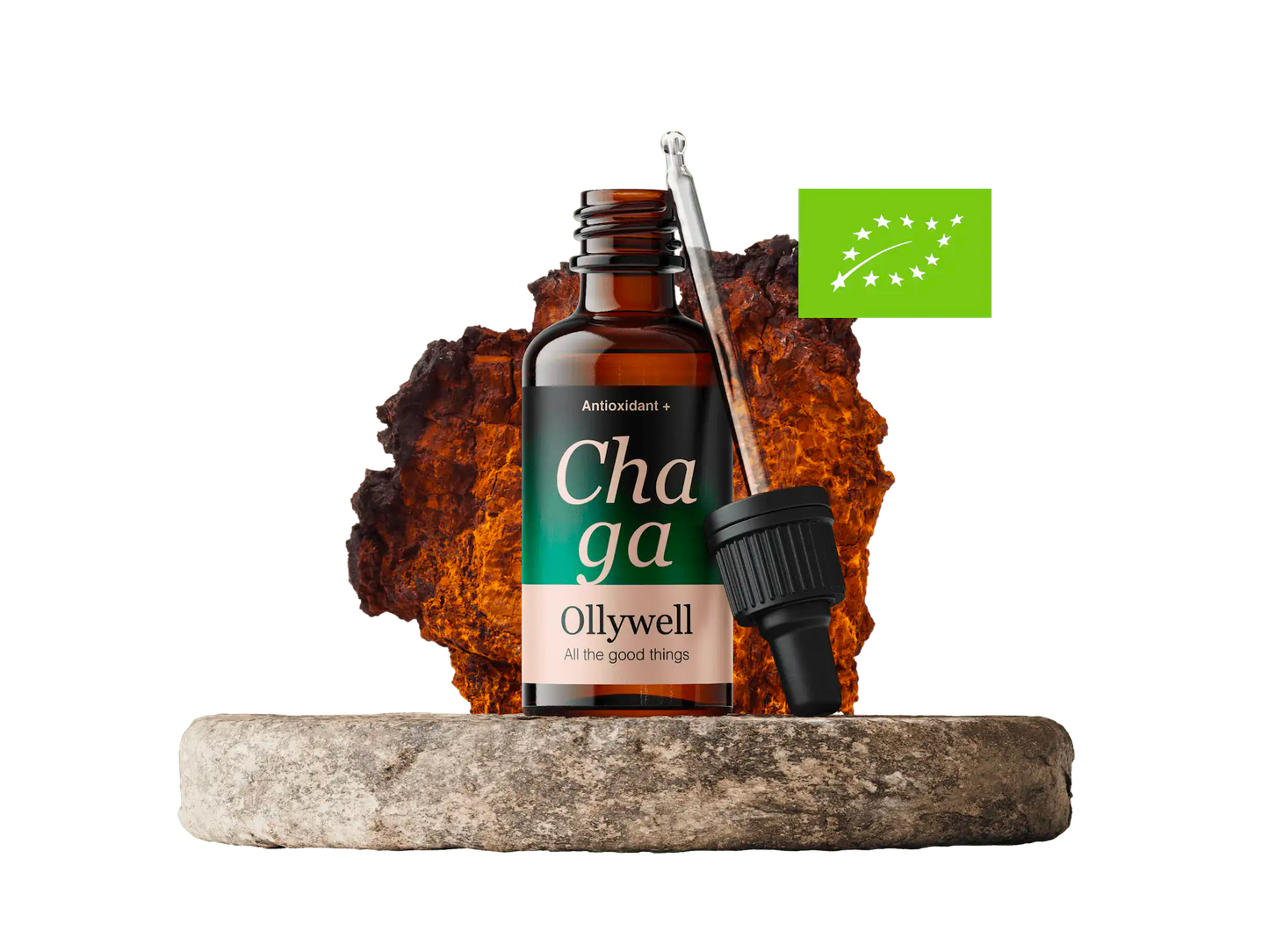 BIO Chaga : Antioxydant+