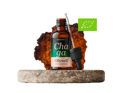 BIO Chaga : Antioxydant+