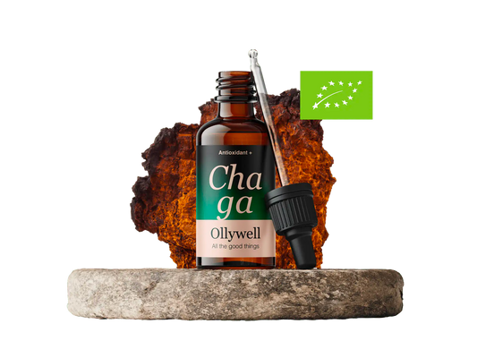 BIO Chaga : Antioxydant+