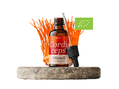 BIO Cordyceps : Énergie+