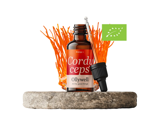 BIO Cordyceps : Énergie+