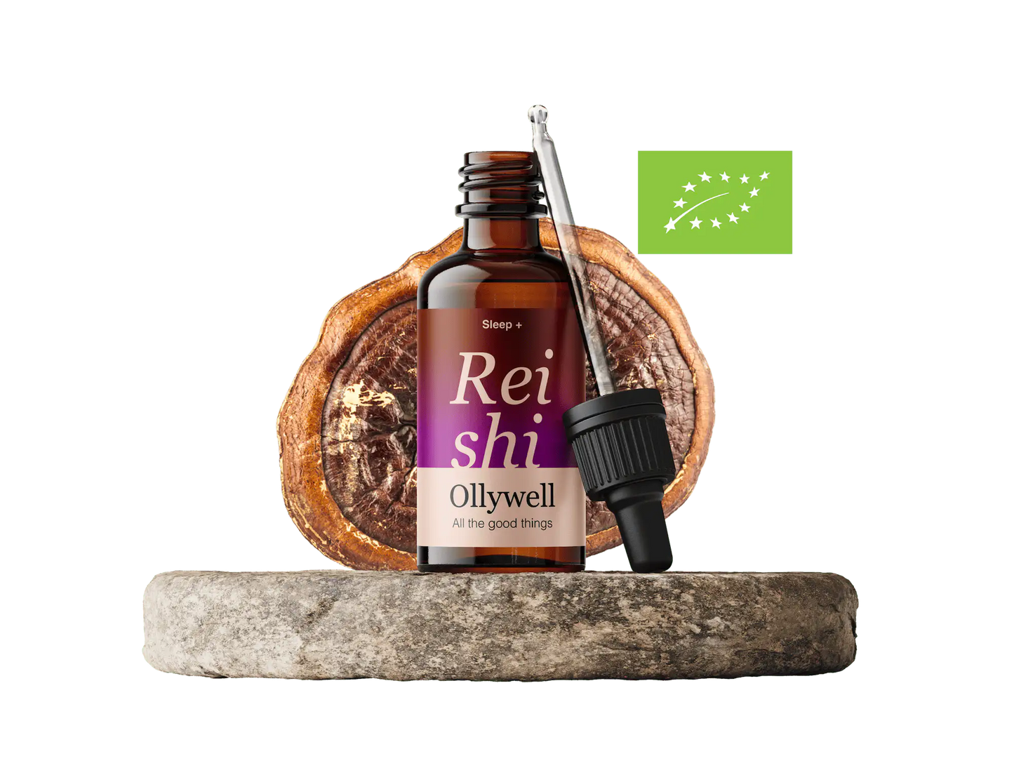BIO Reishi : Sommeil+