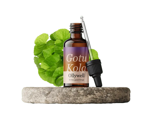 Gotu Kola : Renouveau+