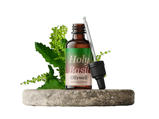 Basilic sacré : Équilibre+